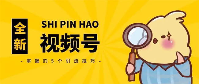 视频号有效关注数1000以上怎么弄?视频号快速涨粉攻略  视频号有效关注 涨粉平台 天兔网 第1张